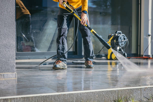 Best Soft Washing for Delicate Surfaces in East Lake, FL